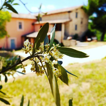 Tenuta San Felice Giano dellʼUmbria Εξωτερικό φωτογραφία