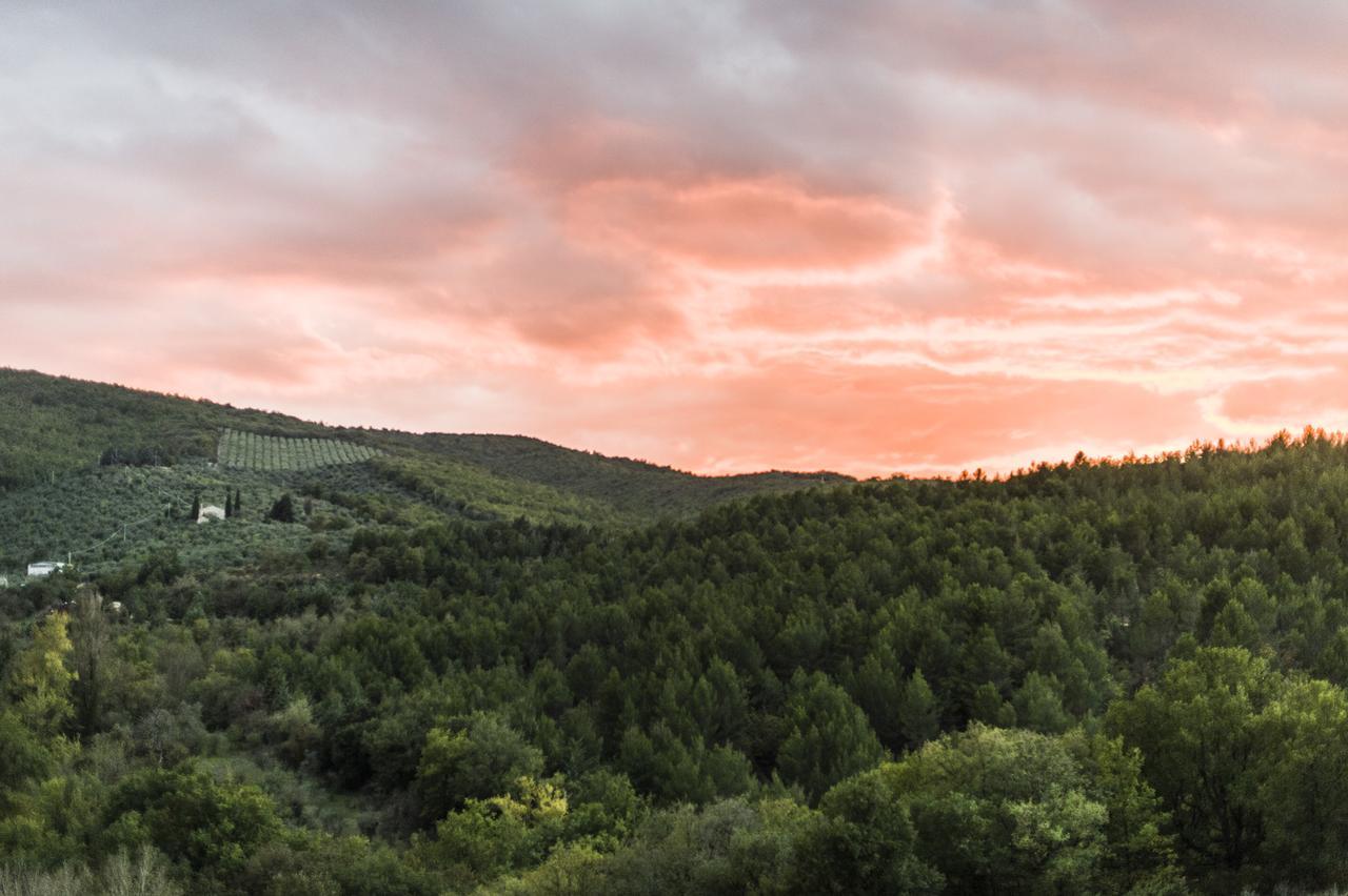 Tenuta San Felice Giano dellʼUmbria Εξωτερικό φωτογραφία